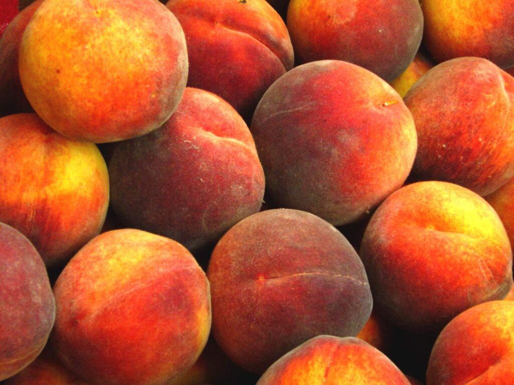 Farm Fresh Peaches from our Evansville, Indiana farm.